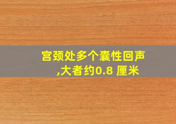 宫颈处多个囊性回声,大者约0.8 厘米